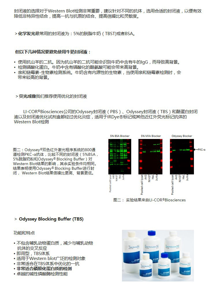 幻灯片8副本.jpg