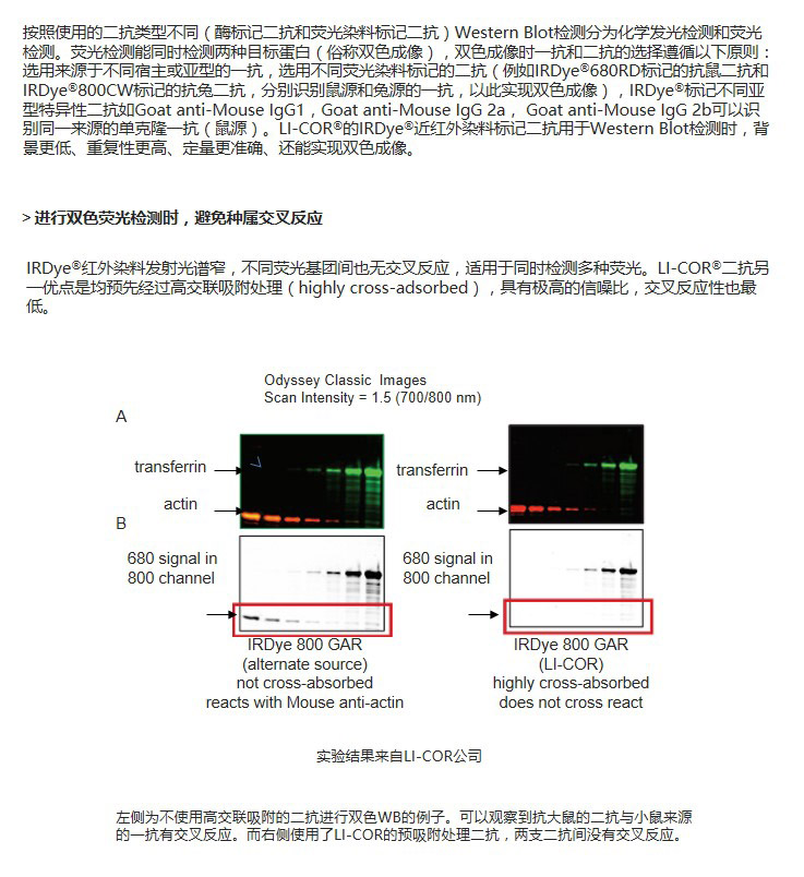 幻灯片12副本.jpg