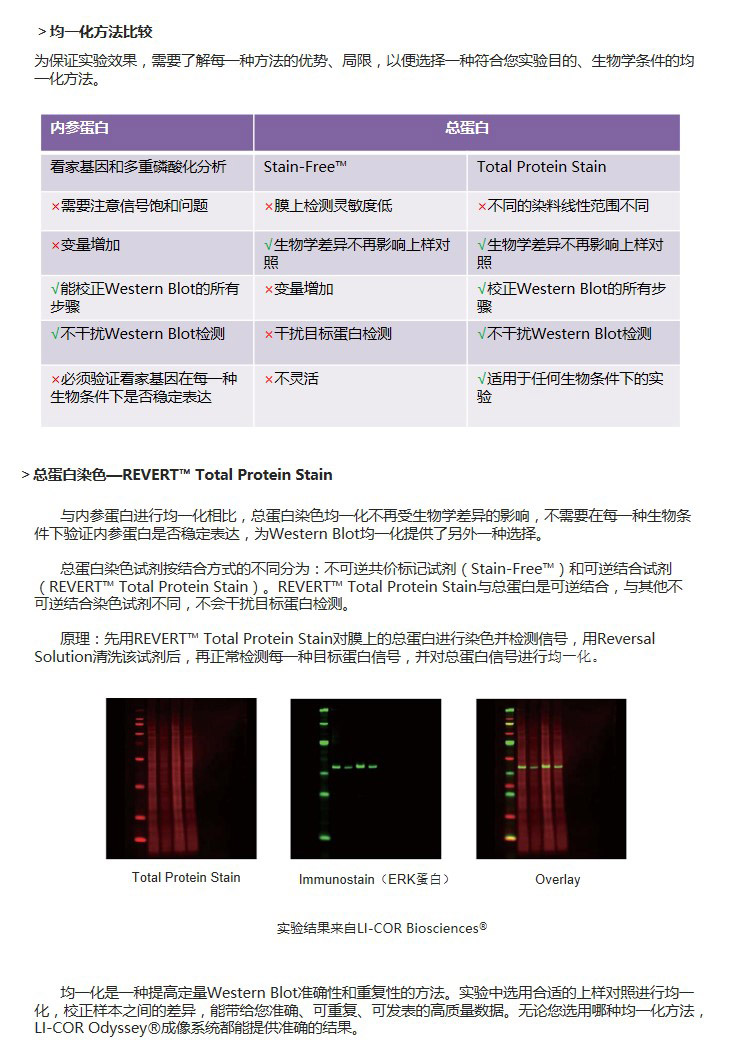 幻灯片15副本.jpg