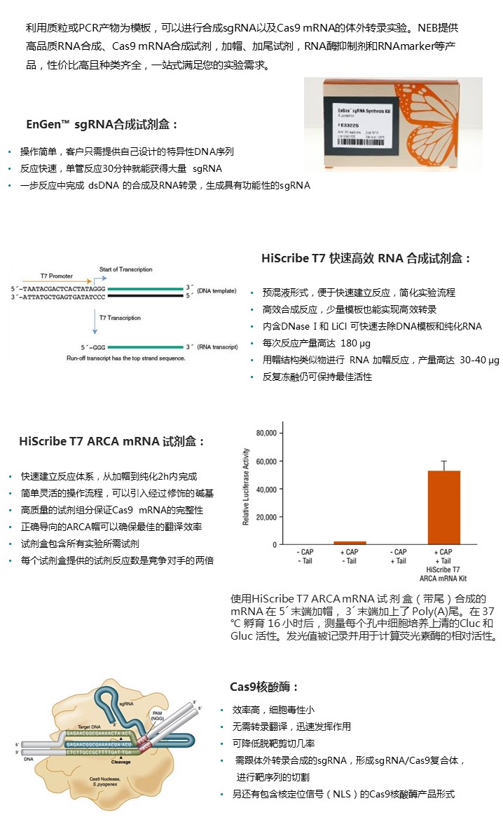 幻灯片6.JPG