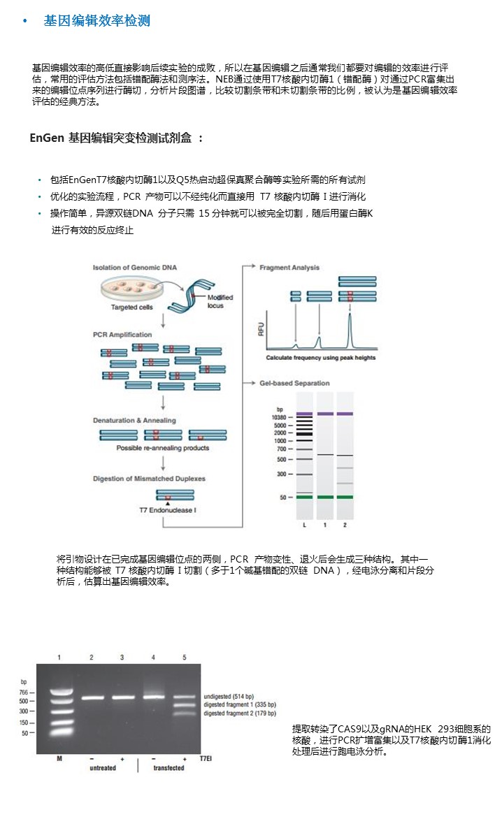 幻灯片17.JPG