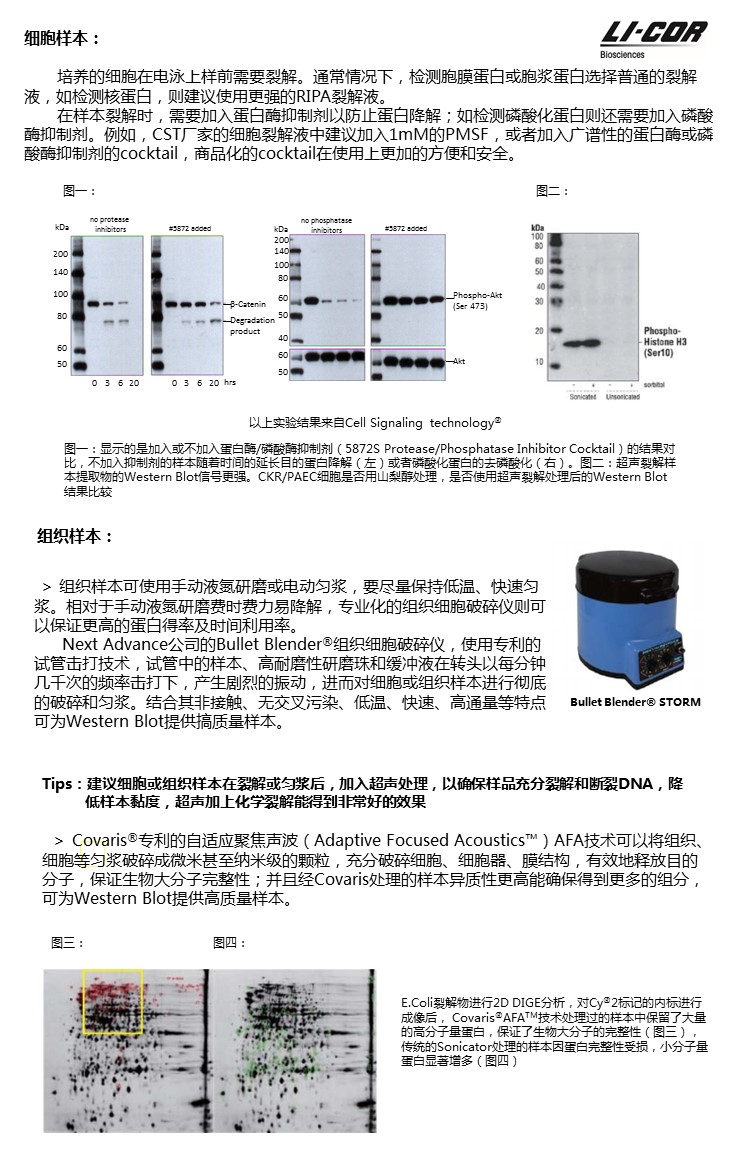 幻灯片4.JPG