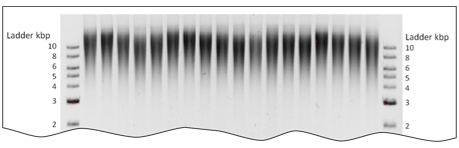 http://covarisinc.com/wp-content/uploads/2012/04/specs_2.png
