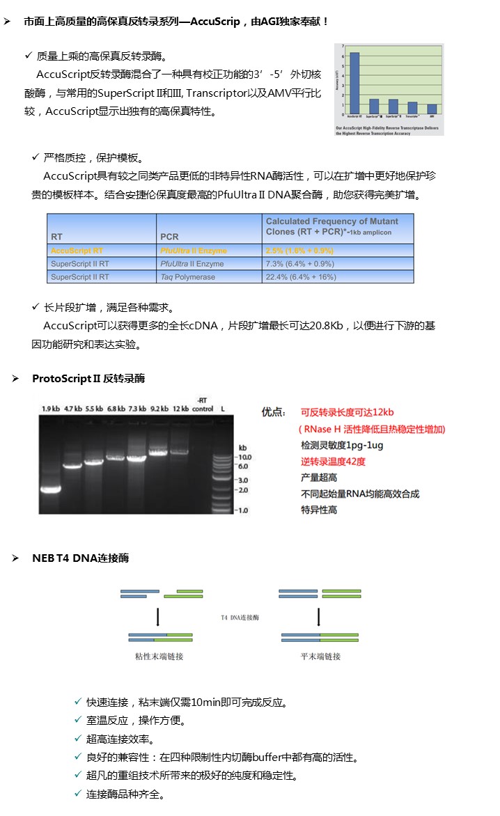 幻灯片29.JPG