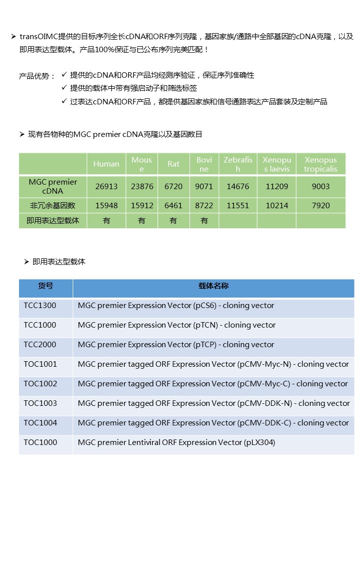 幻灯片32.JPG