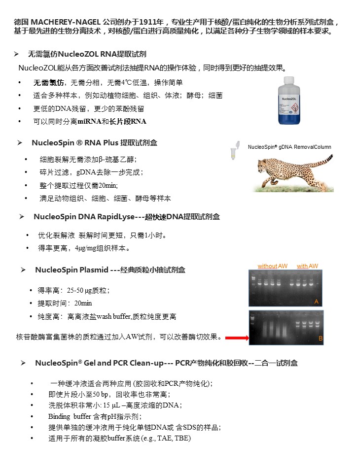 幻灯片7.JPG