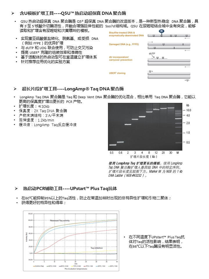 幻灯片29.JPG