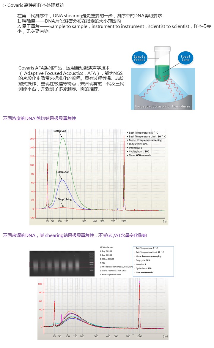 幻灯片28.JPG