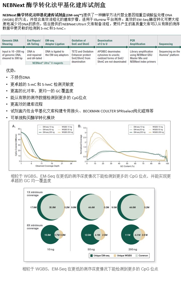 幻灯片39.JPG