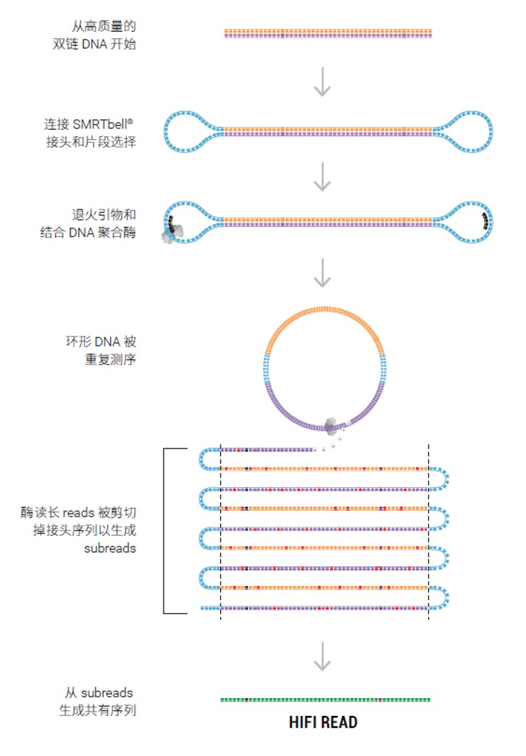 图片15.jpg