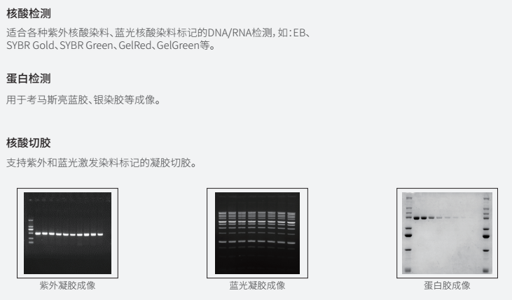 520图3.png