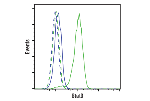 1720421274576782.jpg