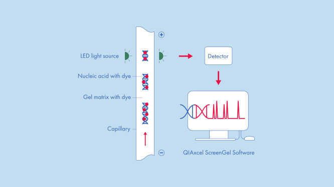2_15_IntroductionImage (1).jpg