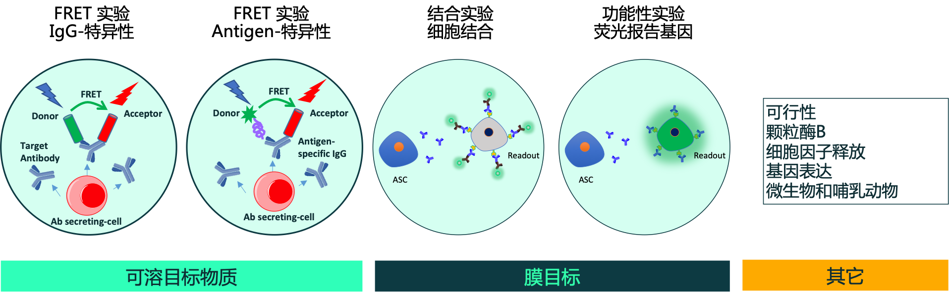 微滴中的生物实验.png