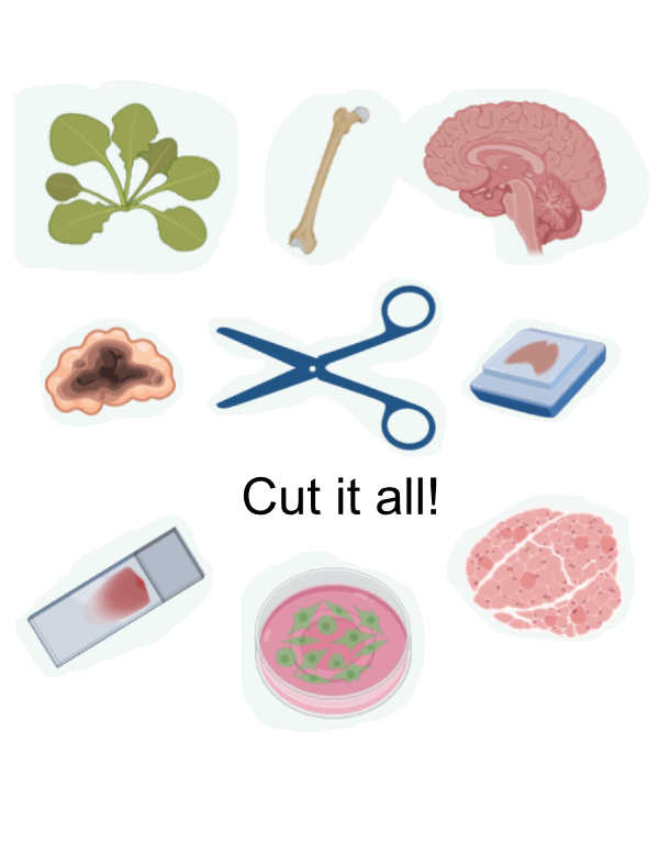 Cut-it-all_01.png
