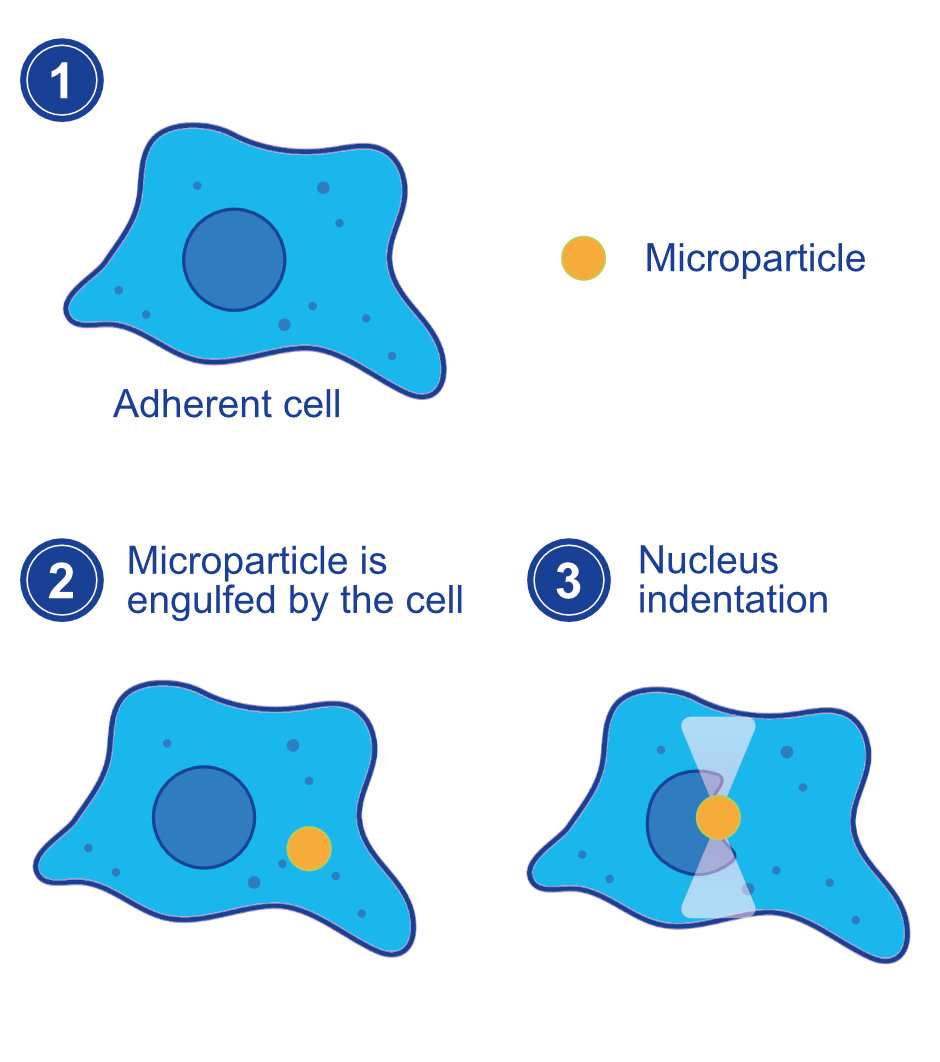Intracellular-Manipulations_V02.jpg
