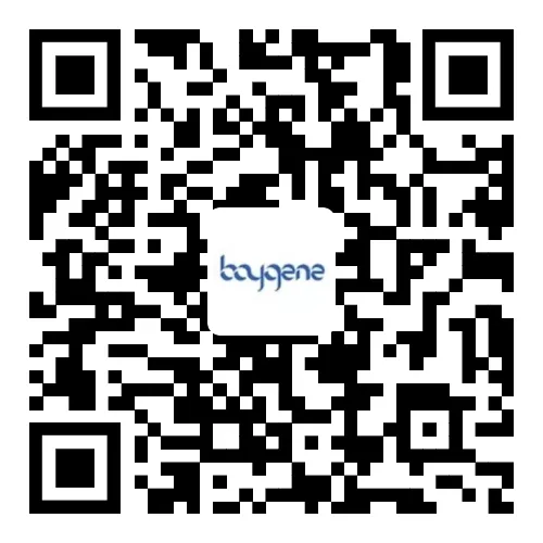 Baygene.png
